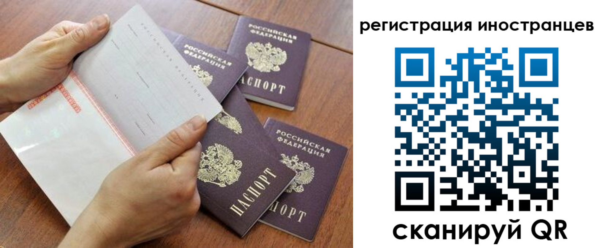 прописка поиск в Заволжске